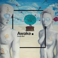 Deniz Bul — Awake — обложка